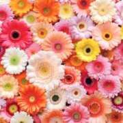 ヒメ日記 2025/02/06 11:15 投稿 森本 MadameRest(マダムレスト)