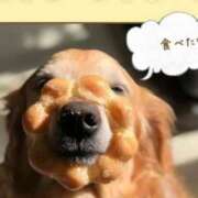 ヒメ日記 2025/02/06 12:15 投稿 森本 MadameRest(マダムレスト)