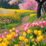 ヒメ日記 2025/02/07 08:52 投稿 森本 MadameRest(マダムレスト)