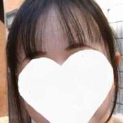 ヒメ日記 2025/02/13 09:15 投稿 森本 MadameRest(マダムレスト)