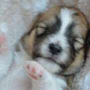 ヒメ日記 2025/02/15 02:15 投稿 森本 MadameRest(マダムレスト)