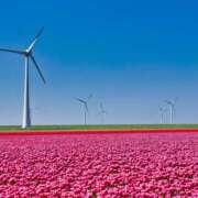 ヒメ日記 2025/02/15 07:32 投稿 森本 MadameRest(マダムレスト)