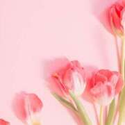 ヒメ日記 2025/02/16 07:16 投稿 森本 MadameRest(マダムレスト)