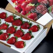 ヒメ日記 2025/02/16 15:11 投稿 森本 MadameRest(マダムレスト)