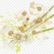 ヒメ日記 2025/02/17 08:15 投稿 森本 MadameRest(マダムレスト)