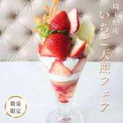 ヒメ日記 2025/02/17 11:32 投稿 森本 MadameRest(マダムレスト)