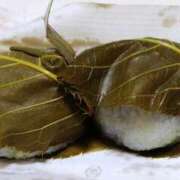 ヒメ日記 2025/02/17 19:31 投稿 森本 MadameRest(マダムレスト)