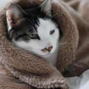 ヒメ日記 2025/02/18 08:31 投稿 森本 MadameRest(マダムレスト)