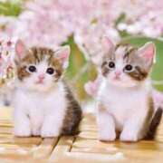 ヒメ日記 2025/02/18 20:32 投稿 森本 MadameRest(マダムレスト)