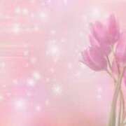 ヒメ日記 2025/02/20 12:15 投稿 森本 MadameRest(マダムレスト)