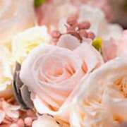 ヒメ日記 2025/02/23 14:52 投稿 森本 MadameRest(マダムレスト)