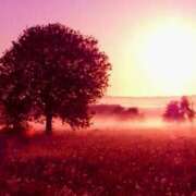 ヒメ日記 2025/02/24 08:52 投稿 森本 MadameRest(マダムレスト)