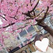 ヒメ日記 2025/02/25 14:31 投稿 森本 MadameRest(マダムレスト)