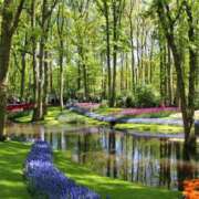 ヒメ日記 2025/02/26 08:24 投稿 森本 MadameRest(マダムレスト)