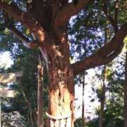 ヒメ日記 2025/02/28 15:55 投稿 森本 MadameRest(マダムレスト)