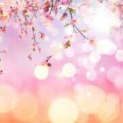 ヒメ日記 2025/03/02 08:15 投稿 森本 MadameRest(マダムレスト)