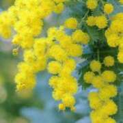 ヒメ日記 2025/03/03 17:15 投稿 森本 MadameRest(マダムレスト)