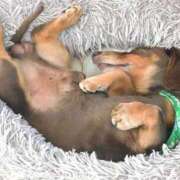 ヒメ日記 2025/03/04 08:15 投稿 森本 MadameRest(マダムレスト)