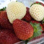 ヒメ日記 2025/03/05 08:52 投稿 森本 MadameRest(マダムレスト)