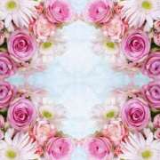 ヒメ日記 2025/03/06 08:24 投稿 森本 MadameRest(マダムレスト)