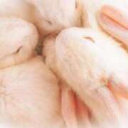 ヒメ日記 2025/03/06 19:32 投稿 森本 MadameRest(マダムレスト)