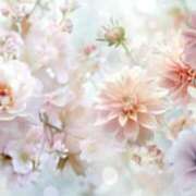 ヒメ日記 2025/03/07 08:24 投稿 森本 MadameRest(マダムレスト)