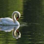 ヒメ日記 2025/03/12 09:15 投稿 森本 MadameRest(マダムレスト)