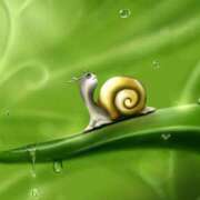 ヒメ日記 2025/03/12 16:24 投稿 森本 MadameRest(マダムレスト)