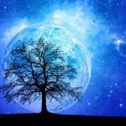 ヒメ日記 2025/03/15 00:52 投稿 森本 MadameRest(マダムレスト)