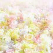 ヒメ日記 2025/03/16 08:24 投稿 森本 MadameRest(マダムレスト)