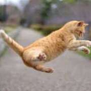 ヒメ日記 2025/03/16 20:32 投稿 森本 MadameRest(マダムレスト)