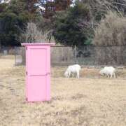 ヒメ日記 2025/03/17 14:24 投稿 森本 MadameRest(マダムレスト)