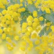 ヒメ日記 2025/03/19 02:15 投稿 森本 MadameRest(マダムレスト)