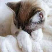 ヒメ日記 2025/03/19 08:24 投稿 森本 MadameRest(マダムレスト)