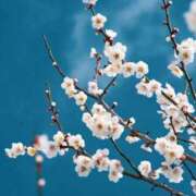 ヒメ日記 2025/03/21 08:24 投稿 森本 MadameRest(マダムレスト)