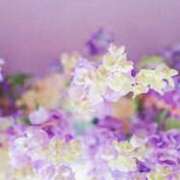 ヒメ日記 2025/03/22 08:24 投稿 森本 MadameRest(マダムレスト)