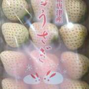 ヒメ日記 2025/03/22 16:15 投稿 森本 MadameRest(マダムレスト)