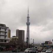 ヒメ日記 2025/03/29 16:31 投稿 森本 MadameRest(マダムレスト)