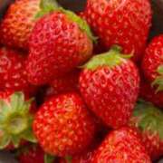 ヒメ日記 2025/03/31 10:01 投稿 森本 MadameRest(マダムレスト)