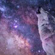 ヒメ日記 2025/04/02 02:24 投稿 森本 MadameRest(マダムレスト)