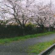 ヒメ日記 2025/04/03 12:39 投稿 森本 MadameRest(マダムレスト)