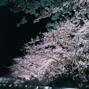 ヒメ日記 2025/04/05 08:15 投稿 森本 MadameRest(マダムレスト)