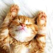 ヒメ日記 2025/04/07 08:24 投稿 森本 MadameRest(マダムレスト)