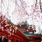 ヒメ日記 2025/04/09 07:52 投稿 森本 MadameRest(マダムレスト)