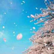 ヒメ日記 2025/04/10 16:52 投稿 森本 MadameRest(マダムレスト)