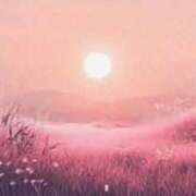 ヒメ日記 2025/04/11 08:15 投稿 森本 MadameRest(マダムレスト)