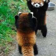 ヒメ日記 2025/04/21 07:32 投稿 森本 MadameRest(マダムレスト)