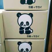 ヒメ日記 2025/04/21 14:32 投稿 森本 MadameRest(マダムレスト)