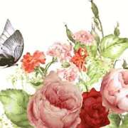 ヒメ日記 2025/04/24 09:24 投稿 森本 MadameRest(マダムレスト)