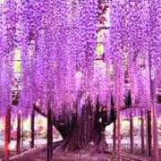 ヒメ日記 2025/04/25 15:52 投稿 森本 MadameRest(マダムレスト)